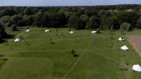 Blissful Bell Tent - Sundew